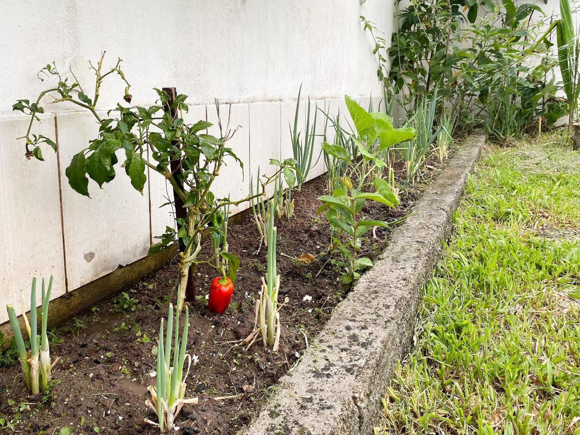 Residencial Verdes Mares Bombinhas Bagian luar foto